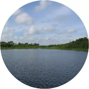 Lake Manatee - Reservoir in Florida