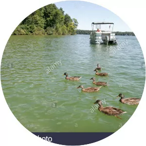 Lake Maxinkuckee - Lake in Indiana