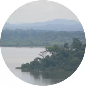 Lake Ossa - Lake in Cameroon