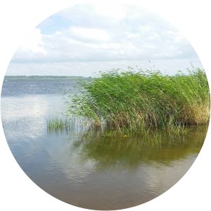 Lake Osveya - Lake in Belarus