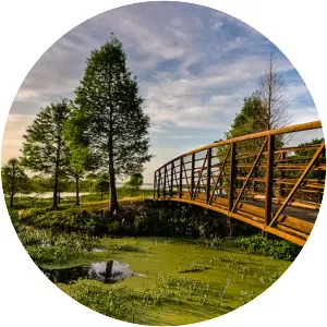 Lake Parker - Lake in Florida