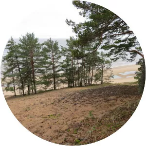 Lake Peipsi/Chudskoe - Lake in Europe