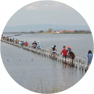 Lake Pomorie - Lake in Bulgaria