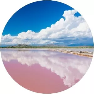 Lake Retba - Body of water