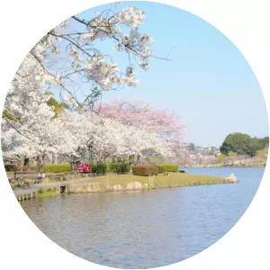 Lake Senba - Lake in Japan