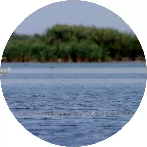 Lake Sinoe - Lagoon in Romania