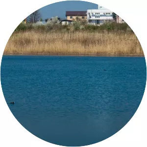 Lake Străulești (Lacul Străulești)