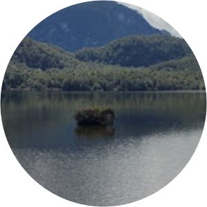 Lake Sylvan - Lake in New Zealand