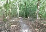 Lake Talquin State Park - 