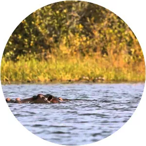 Lake Tengrela - Lake in Burkina Faso