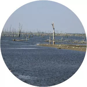 Lake Thompson - Lake in South Dakota