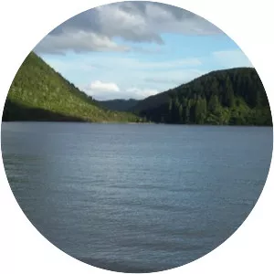 Lake Tikitapu - Lake in New Zealand