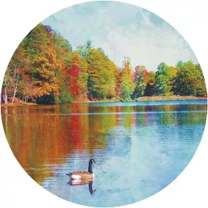 Lake Trahlyta - Reservoir in Georgia