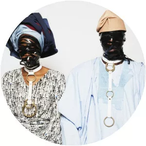 Lakin Ogunbanwo - Artist