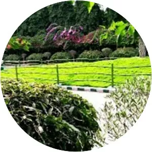 Lalbagh Botanical Garden - 