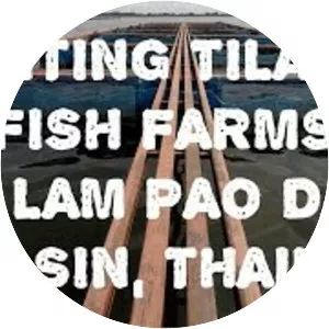 Lam Pao Dam - 