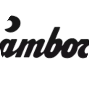 Lamborghini Trattori - Company