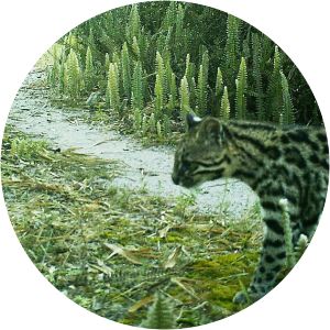 Lami José Lutzenberger Biological Reserve