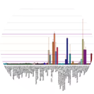 Laminin, beta 2 - Protein