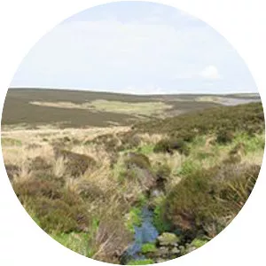 Lammermuir Hills - 