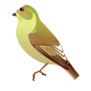 Lānaʻi hookbill - 
