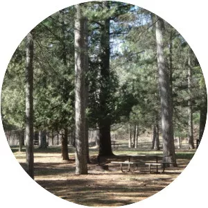 Land O'Lakes State Forest - 