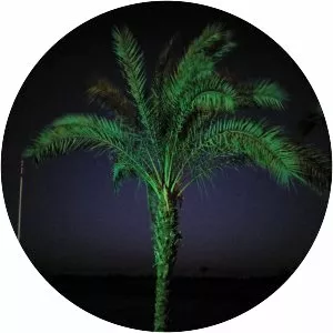 Land of Kush - Musical group