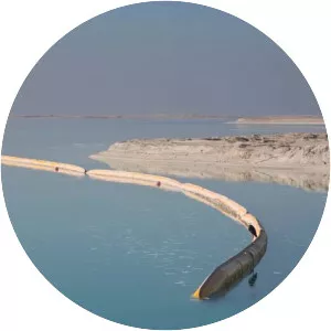 Land reclamation photograph