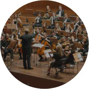 Landes-Jugend-Symphonie-Orchester Saar - Musical group