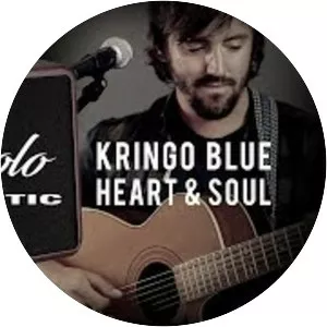 Laney Amplification - Manufacturing company