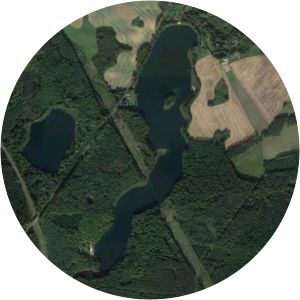 Langer See Blumenholz