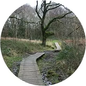 Langford Heathfield - 