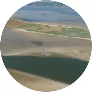 Langli - Island in Blåvand, Denmark