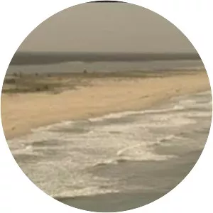 Langue de Barbarie - 