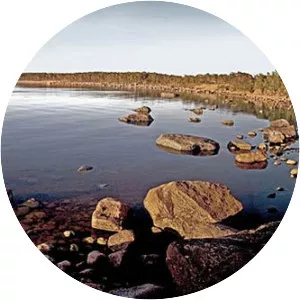 Langvira (Pitkäviiri)