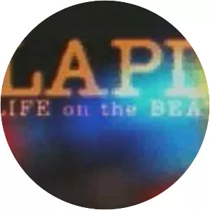 LAPD: Life on the Beat - Television series