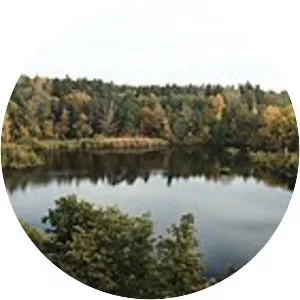 Lappkärret - Lake in Sweden