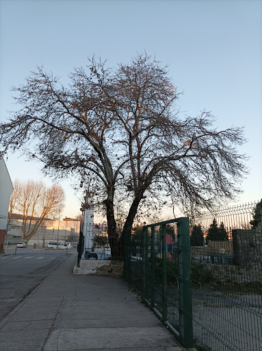 Lar Santa Teresa - Retirement home in Viana do castelo, Portugal