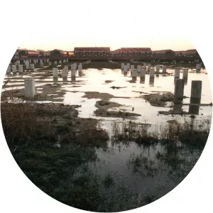 Lar Z - Musical artist