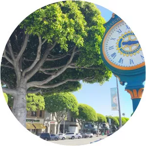 Larchmont Village