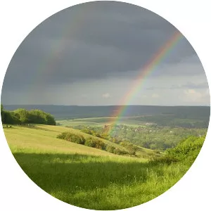 Lardon Chase, the Holies and Lough Down - 