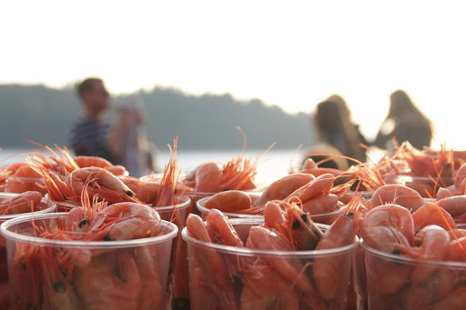 Larkolluka - Outdoor activity organiser in Larkollen, Norway