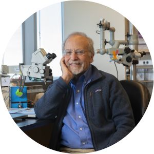 Larry Benowitz - Researcher