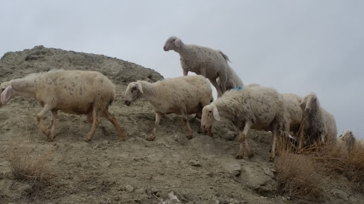 Las Culturas Park - Park in San Martin de la Vega, Spain