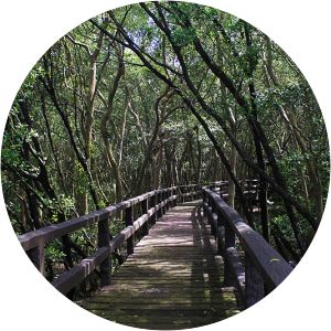 Las-Pinas-Paranaque Critical Habitat and Ecotourism Area