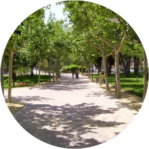 Las Torres de Cotillas