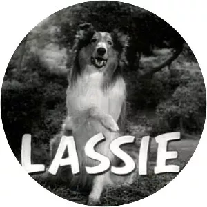 Lassie