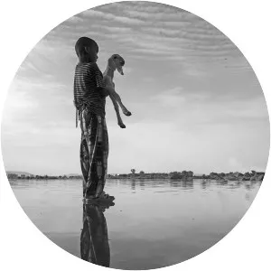 Lassy King Massassy - Singer