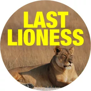 Last Lioness - TV program