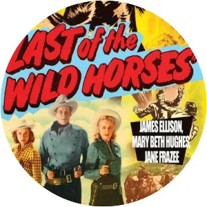 Last of the Wild Horses